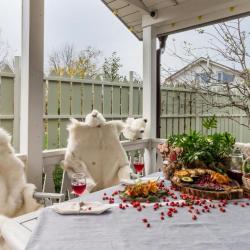 Фото Отель Озорные белки