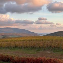 Фото Отель Villa Scandi (Вилла Сканди)