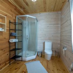 Коттедж премиум Петровский