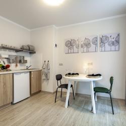 1-комнатные апартаменты студия