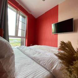 1-комнатные апартаменты стандарт Terracotta