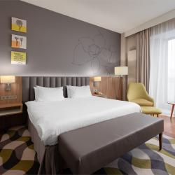 Реновированный Люкс с 1 спальней и доступом в lounge-зону