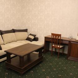 Фото Отель Аустерия