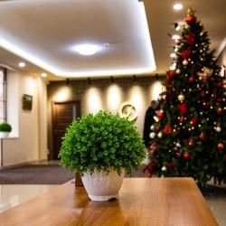 Фото Отель Inga Hotel Yerevan (Инга )