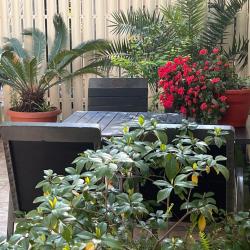 Фото Отель Аэлита