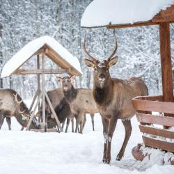 Фото Отель Волынь