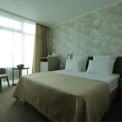 2-комнатный номер люкс с балконом (третий корпус)