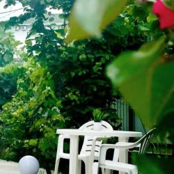 Фото Отель Гостевой дом Петрович