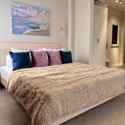 1-комнатные апартаменты улучшенные (мансарда)