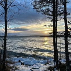 Фото Отель Лесная