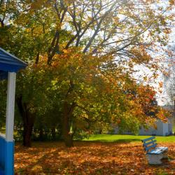 Фото Отель Загорские дали