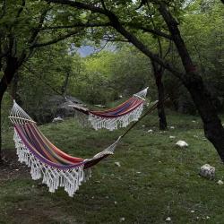 Фото Отель Абрикос Village (Абрикос Вилладж)