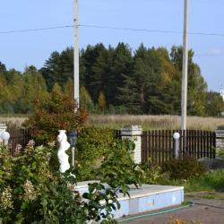 Фото Отель Гостевой дом Волга