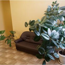 Номер стандарт с 2 односпальными кроватями