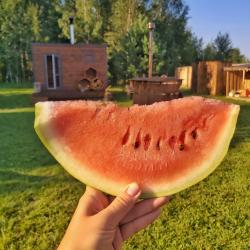 Фото Отель Вуд Плейс