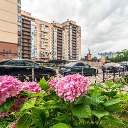 1-комнатные апартаменты студия