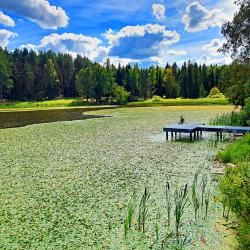 Фото Отель Зелёный дворик