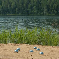 Фото Отель Marmar (Мармар)