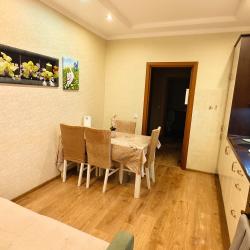 1-комнатные апартаменты стандарт улица Мечникова, 40