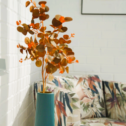 1-комнатные апартаменты улучшенные