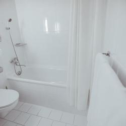 Фото Отель Shodlik Palace (Шодлик Палас)