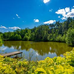Фото Отель Клуб