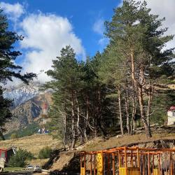 Фото Отель Гостевой дом 1950