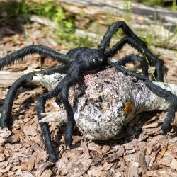 Фото Отель Гарри и философский чан