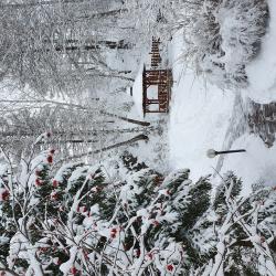 Фото Отель Каменный цветок