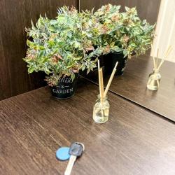 1-комнатные апартаменты улучшенные