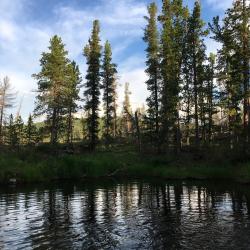 Фото Отель Балыкту