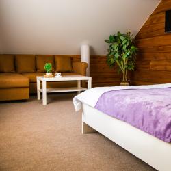 Номер стандарт с 1 двуспальной кроватью (мансарда)