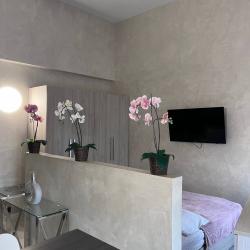 Фото Отель Malina Apartment (Малина Апартмент) на улице Липовой Рощи 1 корпус 1