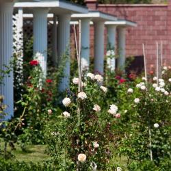 Фото Отель Ривьера