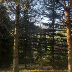 Фото Отель Шуколово