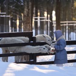 Фото Отель Русские Сезоны село 4*
