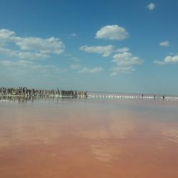 Фото Отель Кокос