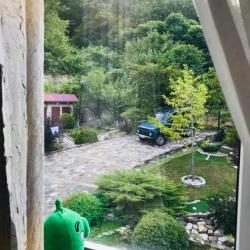 Фото Отель Гостевой Дом Нэста