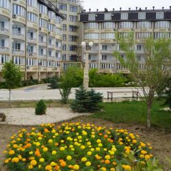 фото 4 НОК Журавли