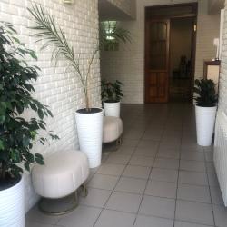 Фото Отель Дива