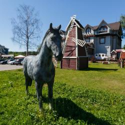 Фото Отель Серая лошадь