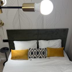 2-местные 1-комнатные апартаменты стандарт с 1 двуспальной кроватью