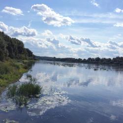 Фото Отель Три Медведя