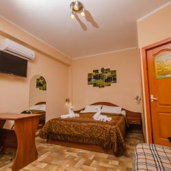 Номер стандарт семейный с 1 двуспальной кроватью