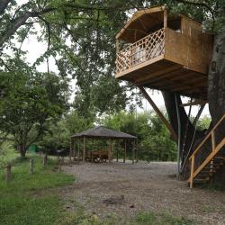 Фото Отель Беной Тревел Озеро