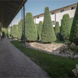 Фото Отель Rohat Mirobod (Рохат Миробод)