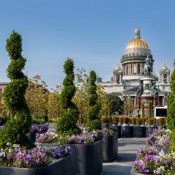 фото 26 Тайны Адмиралтейства