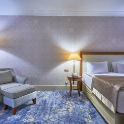 Номер делюкс с 1 двуспальной кроватью