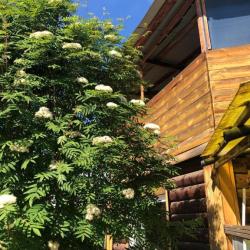 Фото Отель Усадьба Копылова