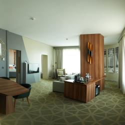 Фото Отель Mercure Saransk Center (Меркюр Центр)